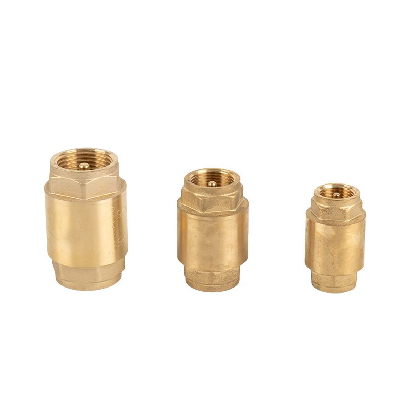 What Is a Brass Check Valve and Why Is It Important?