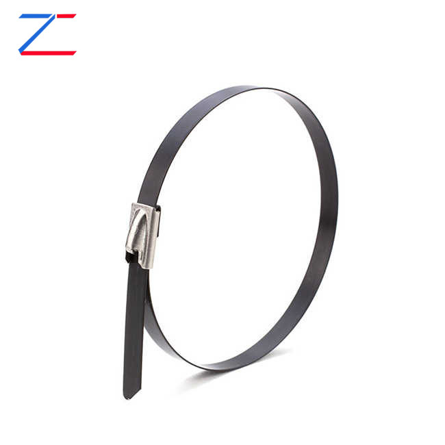 What Are Coated Stainless Steel Cable Ties and Why Do They Matter for Industrial Applications?