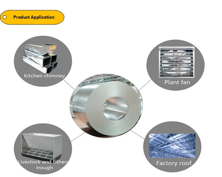 750mm-1250mm Galvanized Steel Coil and Strip