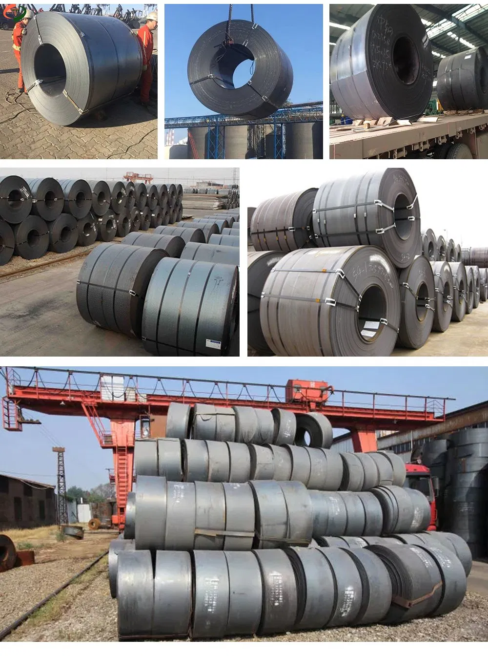 ASTM 1015 Low Carbon Steel Coil with Fast Delivery and Cutting Steel Coil