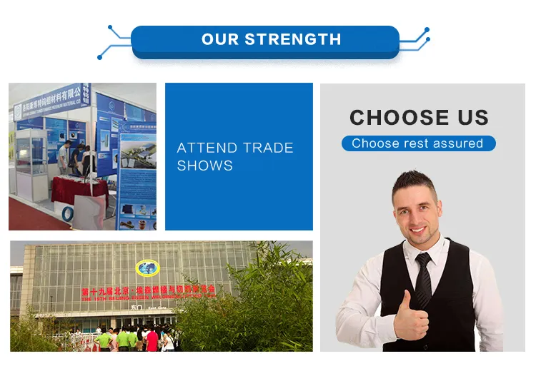 ASTM B387 Polished Molybdenum Alloy Tzm Rod for Sale