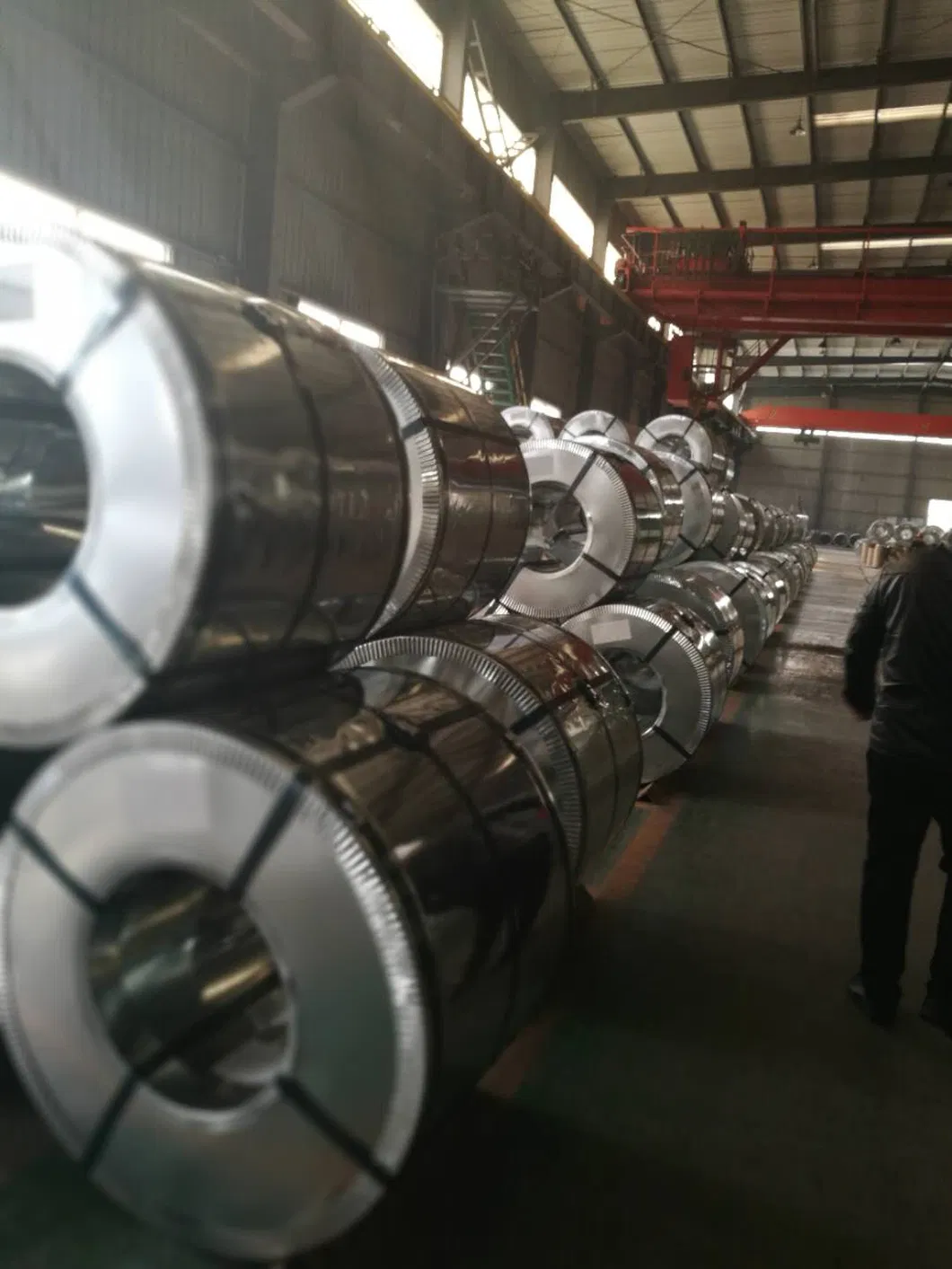 Building Materials Galvanized Steel Coils