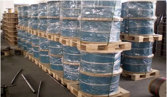 China Supplier 304/316/316L 4-6mm Stainless Steel Wire Rope Wholesale