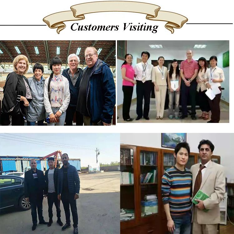 Custom Al Aluminium Rod with Ly16 Ly6 T3 T4 for Engineering Construction