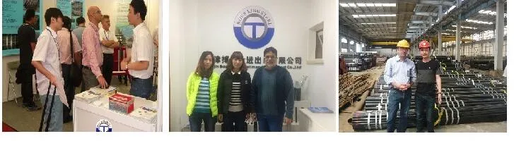 DIN2448 DIN17175 DIN1629 St52 St35.8 St37 Seamless Steel Pipe, Steel Pipe, Steel Pipe Tube