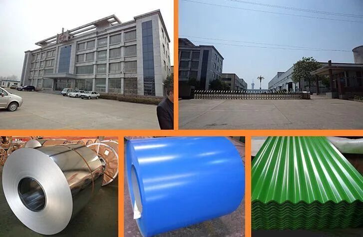 Dx51d Akzonobel White Colorful Painting Coated Steel Coil for Refrigerator PPGI Steel