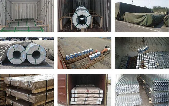 Dx51d Akzonobel White Colorful Painting Coated Steel Coil for Refrigerator PPGI Steel