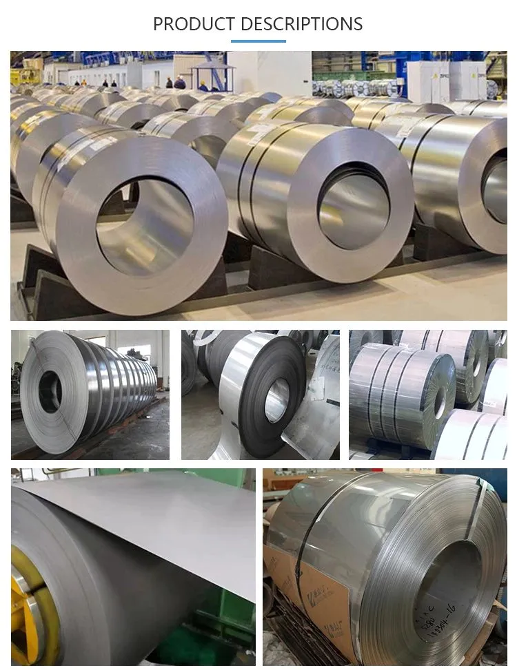 Dx51d Z40 Hot Dipped Zinc Coated Gi Galvanized Steel Coil for Constraction (A283 A733 A1011 A709)