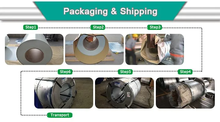 Dx51d Z60 PPGI Color Coated Steel Coil Manufacturer