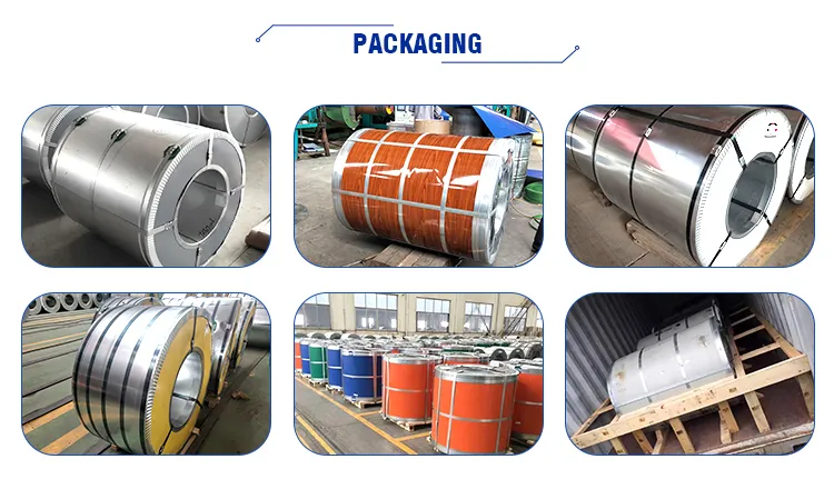 Dx53D Akzonobel White Colorful Painting Coated Steel Coil for Refrigerator PPGI
