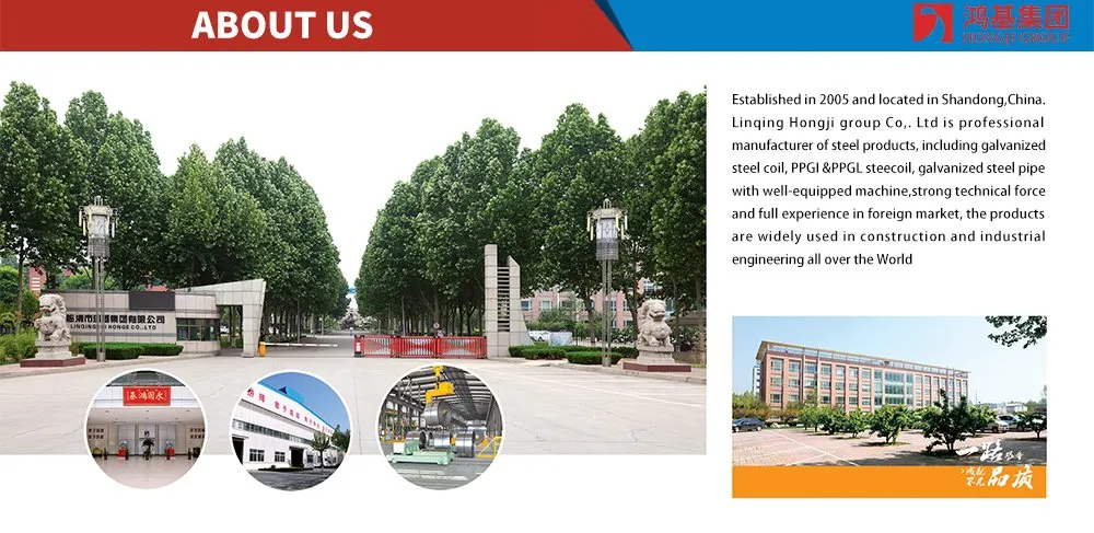 Galvanized Iron Sheet Coil 0.2mm Hot Dipped Galvanized Steel Coil