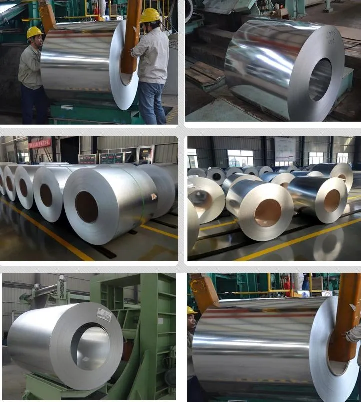 Galvanized Steel Coil Dx51d Z275 Z350 Hot Dipped Galvalume Steel Coil SGCC Coating Cold Rolled Galvanized Steel Coil