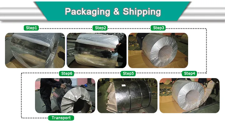 Good Price with SGCC 0.25thickness Galvanized Steel Coil for Egypt