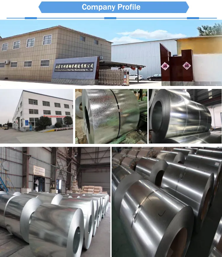 Hot Dipped Dx51d Z275 Zinc Coated Galvanized Steel Coil Metal Steel Sheet for Building Material