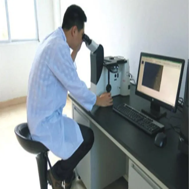 Hot Rolled SAE1010 1045 Ss400 ASTM A283 3/5/8/10/12/15mm Thick Carbon Steel Plate High Quality Hot Sale