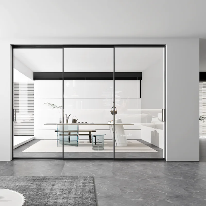 Double Glass Sliding Door