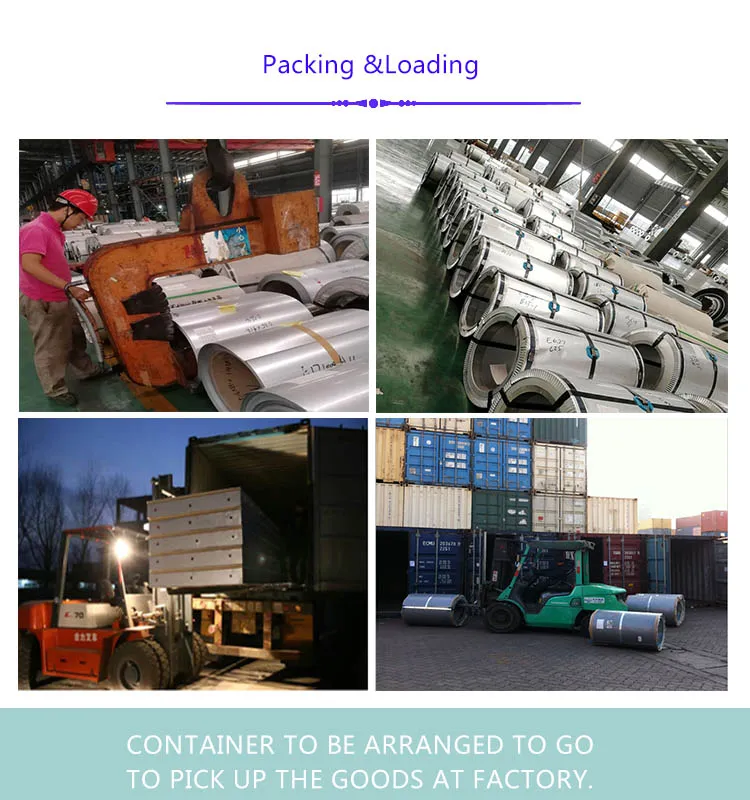 Painted Hot Sale PPGI/PPGL Steel Coil with Best Price