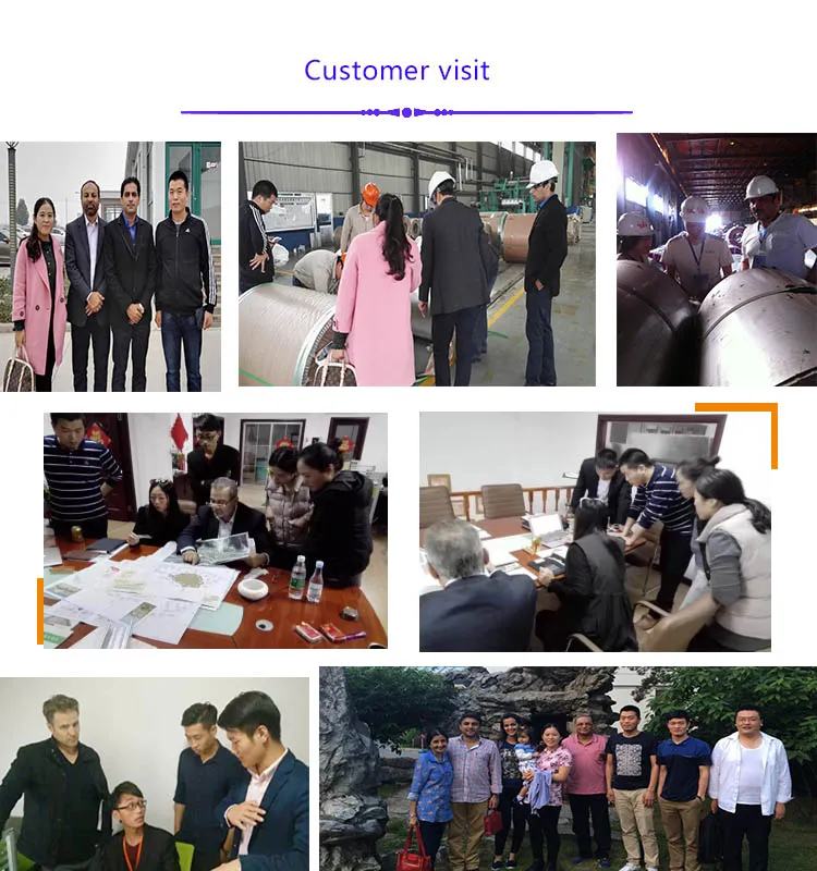 Painted Hot Sale PPGI/PPGL Steel Coil with Best Price