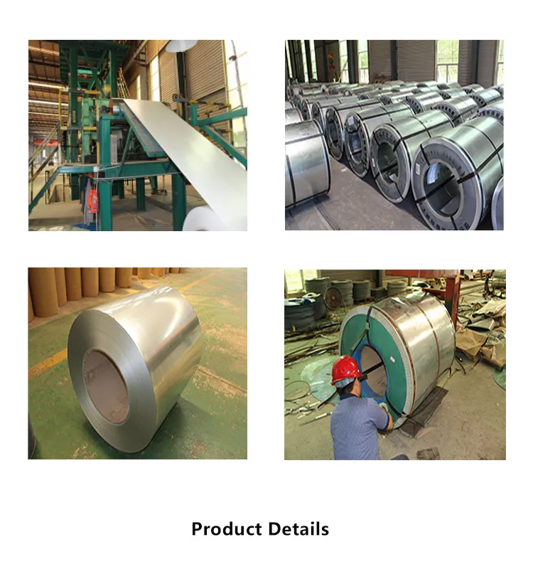 Painted Hot Sale PPGI/PPGL Steel Coil with Best Price
