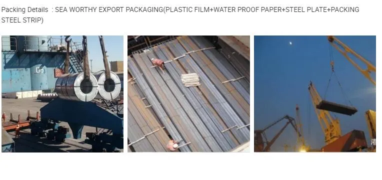 PPGI Factory in China Supply Prepainted Galvanized Steel Coil