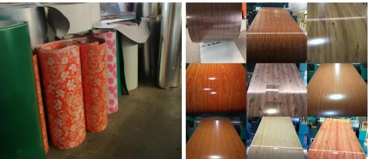 PPGI Factory in China Supply Prepainted Galvanized Steel Coil