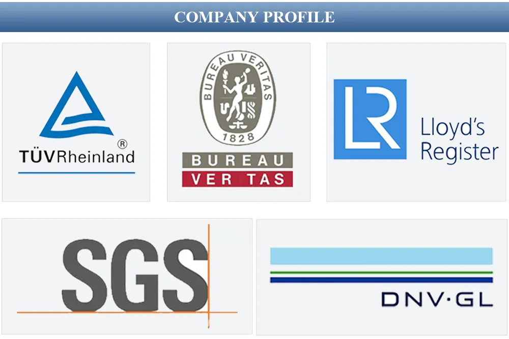 Precision Duplex Stainless Steel ASTM/ASME U-Bent Tubes a/SA789 Uns S31803 U-Bent Tubes