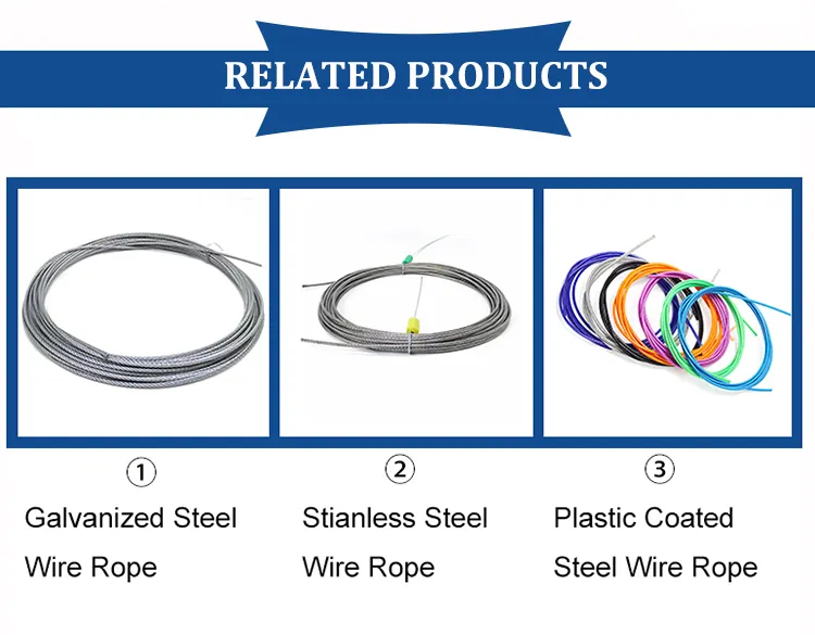Professional High Standard 7*7 Stainless Steel Wire Rope