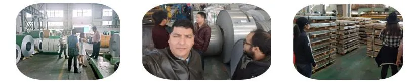 S31803 2205 S32205 F51 1.4462 A240 A479 Duplex Stainless Steel Plate/Sheet