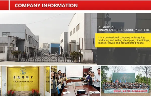 Seamless En 10216-3 P355n 1.0562 Alloy Steel Pipe