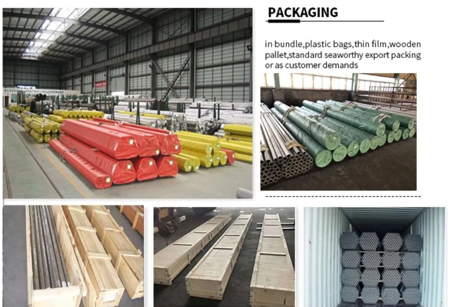 Shandong PPGI Sheet Price Ral Color Coated Steel Coil Painted Dx51d Galvanized Steel Coil Metal PPGI PPGL
