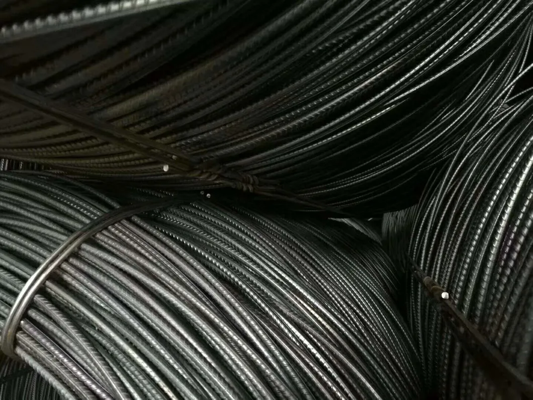 Stocks HRB400 /Q235 Grade 40 6mm 8mm 10mm Ribbed Round Bar Deformed Bar in Coil